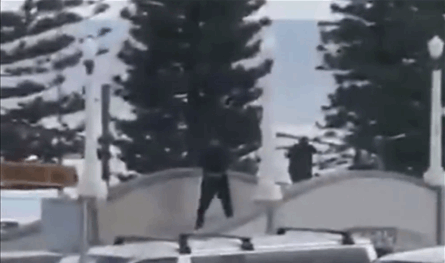  خلال احتفال يهودي.. إطلاق نار في أستراليا وسقوط قتلى (فيديو)