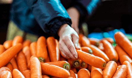 السر الحقيقي خلف أسطورة &quot;الجزر يقوي النظر&quot;