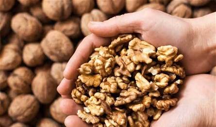 تناول حفنة من الجوز يومياً يحمل العديد من الفوائد! 