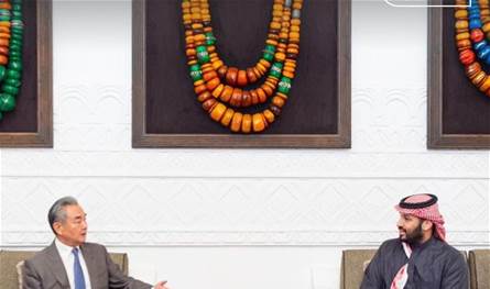 الأوضاع الإقليمية بين ولي العهد السعودي ووزير الخارجية الصيني