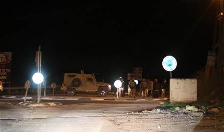 مستوطنون يحرقون أشجار زيتون في قرية برقا شرق رام الله