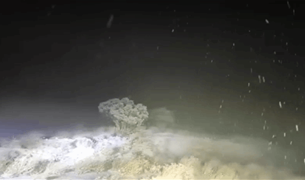 بالفيديو.. ثلوج كثيفة غطّت جرد "مربين"