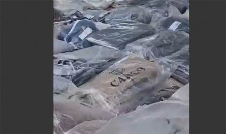 "زعتر مخلوط بالنشارة".. مديرية الجمارك تضبط كميات كبيرة من المواد الغذائية المنتهية الصلاحية (فيديو)