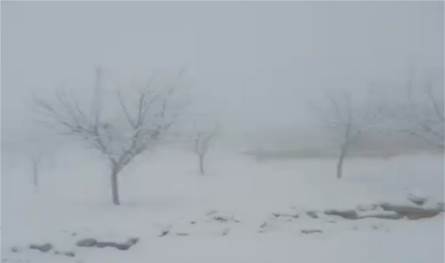 فيديو من عرسال... الثلوج غطت جرد البلدة البقاعيّة