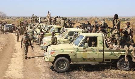 عمليات الإعدام الجماعي والاغتصاب الممنهج في دارفور تثير غضب المجتمع الدولي