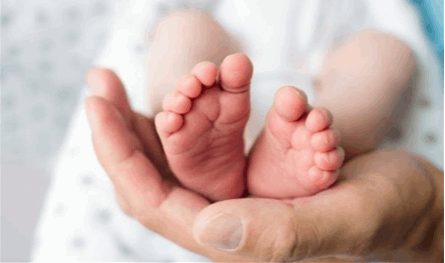 بالأسماء.. إليكم الدول العربية الأعلى في عدد المواليد لعام 2025