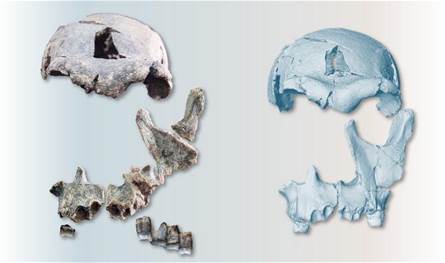 وجه من عصور ما قبل التاريخ يكشف مفاجأة علمية