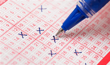 بالصورة... اليوم أيضاً فازت شبكة واحدة بجائزة "اللوتو" الأولى