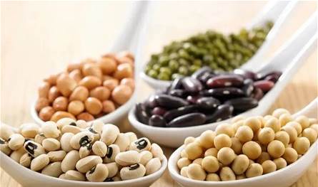 أطعمة غنية بالزنك تقوي جهازك المناعي في فصل الشتاء 