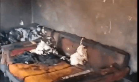 في لبنان.. مسنة ماتت حرقا بعد اندلاع نيران داخل شقّتها (فيديو)