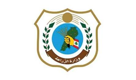 الزراعة: شحنة الأبقار المصرية تخضع للحجر… والنتائج مطمئنة