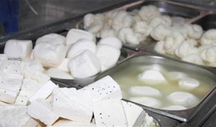 مليئة بالحشرات والذباب والصراصير… ضبط مشتقات ألبان فاسدة في هذه البلدة