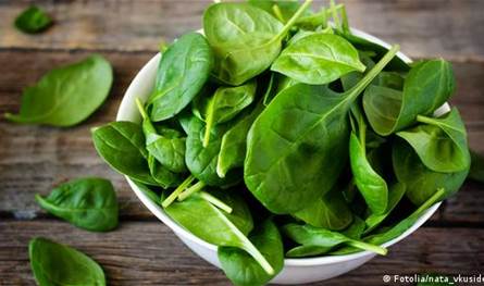 فوائد مذهلة للسبانخ.. اكتشفها!