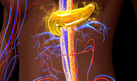 اكتشاف ثوري: حماية خلايا السكري من النوع الأول