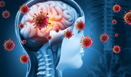 حتى بعد التعافي.. هذا ما يفعله كورونا بالدماغ