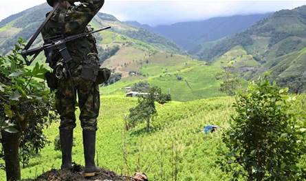 بعد هجوم دموي… المتمردون في كولومبيا يعلنون هدنة من طرف واحد