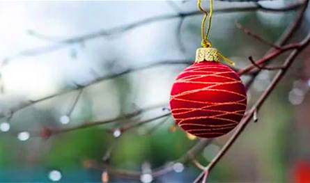 المنطقة ستتأثر بنزول قطبي.. هكذا سيكون طقس عيد الميلاد