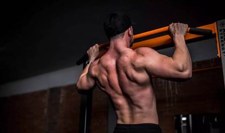 البروتين أم الكرياتين.. أي مكمل غذائي الأنسب لبناء العضلات؟