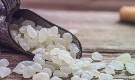 ستحفّزك على استخدامها كل يوم.. فوائد صحية رائعة للمستكة تعرف عليها