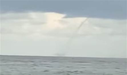 بالفيديو... تنين البحر مقابل شاطىء جونية