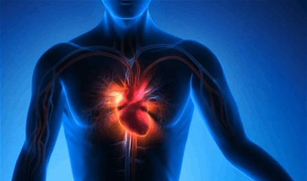 أعراض متفرقة قد تُخفي خطراً.. إشارات التهاب عضلة القلب