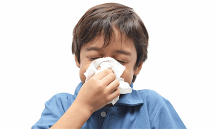 في موسم الانفلونزا.. أطعمة تُسرّع التعافي فما هي؟