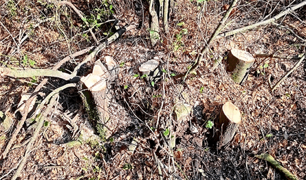 الزراعة" تتشدد: منع مرتقب لرخص التشحيل