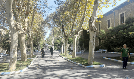 وفاة مسنّة في مأوى عشية الميلاد… قصة وجع تفتح ملف الإهمال العائلي