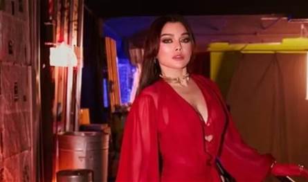 بقرار قضائي.. هيفاء وهبي تعود للغناء في مصر