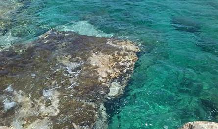 مصر تتسلم 3.5 مليار دولار ضمن صفقة "سملا وعلم الروم"