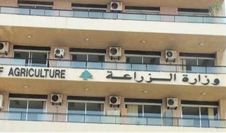 وزارة الزراعة أصدرت 80 قرارًا وتعميمًا لتحديث القطاع الزراعي في 2025