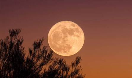 الشمس ستكون بأكبر حجم لها.. هذا ما سيحصل يوم السبت 3 كانون الثاني