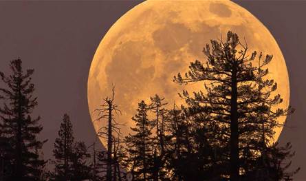 ظاهرة فلكية مميزة مع أول قمر عملاق في عام 2026!