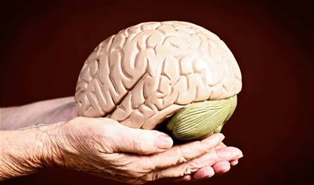 وصفة علمية بسيطة للحد من شيخوخة الدماغ والحفاظ على القدرات الإدراكية... اتبعها!