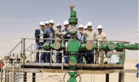 من الجزائر إلى رأس شقير.. صفقات الطاقة في مصر ترسم "2025"