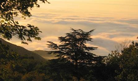 العثور على شاب سقط في حرش إهدن