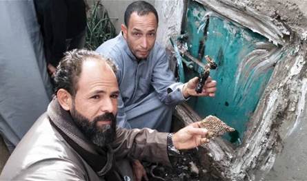 واقعة غير مسبوقة: نحل يبني خلاياه داخل قبر مغلق بإحكام