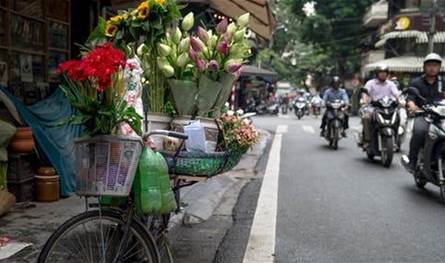 توقيف بائع ورد في زحلة يروّج المخدرات وتفكيك شبكة مرتبطة به!