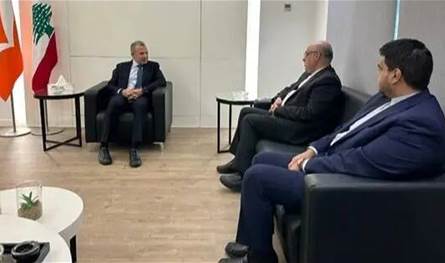 باسيل والسفير الإيراني يتبادلان التهاني ويبحثان قضايا مشتركة