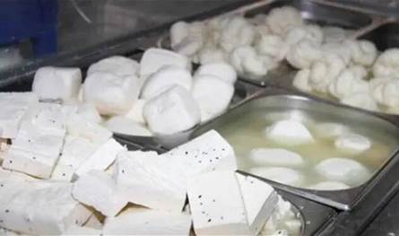 افتقر شروط سلامة الغذاء... اقفال محل أجبان وألبان في صور