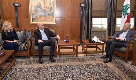 سلسلة لقاءات لبري تناولت السياسة والعلاقات الثنائية