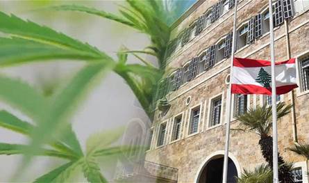 الهيئة الناظمة لزراعة القنّب تسلّم رئاسة الحكومة الأنظمة والمراسيم