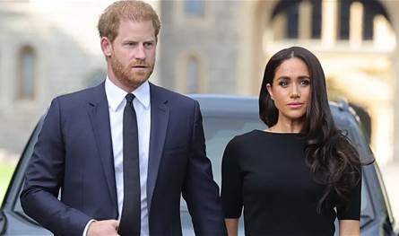 تحذير من الأمير هاري وميغان ماركل من مخاطر الهواتف على الأطفال