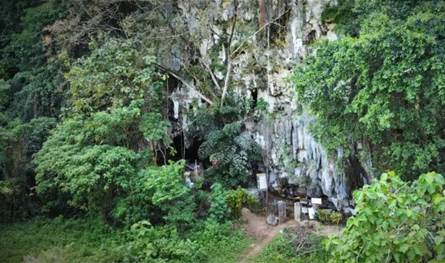 اكتشاف آثار لتعايش البشر وأشباه البشر في إندونيسيا