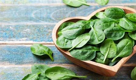 فوائد لا تحصى في أوراق السبانخ.. هذا ما كشفه العلماء