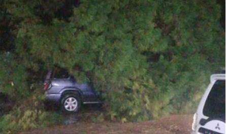 بسبب العاصفة.. سقوط شجرة ضخمة على سيارات متوقفة أمام مدرسة (فيديو) 