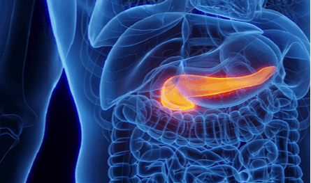 مواد نتعرض لها يوميًا تهدد البنكرياس وتؤثر على صحتنا.. تجنّبها!