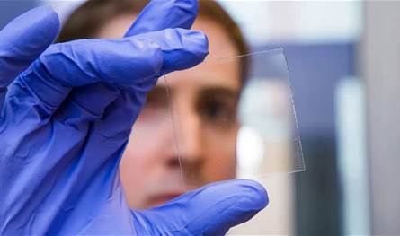 نافذة ذكية من الخشب الشفاف تحجب الأشعة فوق البنفسجية