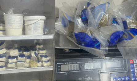 في هذه المنطقة.. إجراءات قضائية بحق صاحب معمل أجبان غير مرخص