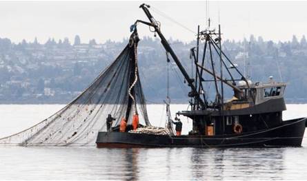 فقدان لبناني كان على متن مركب صيد غرق قبالة جزيرة أرواد السورية (صور)